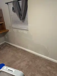 Drywall Mold Repair in New Albany