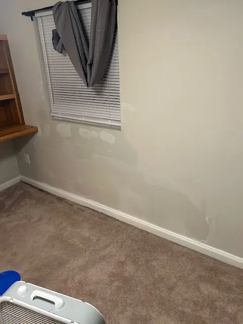 Drywall Mold Repair in New Albany